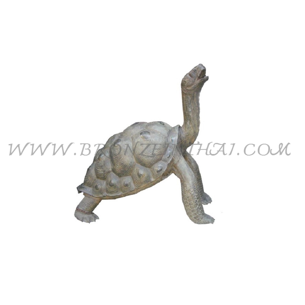 Turtle Bronze Sculpture