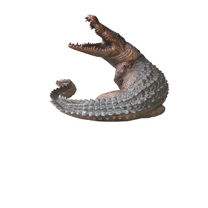 Crocodile