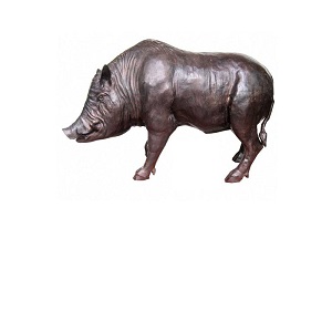 Pig