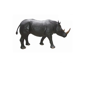 Rhino